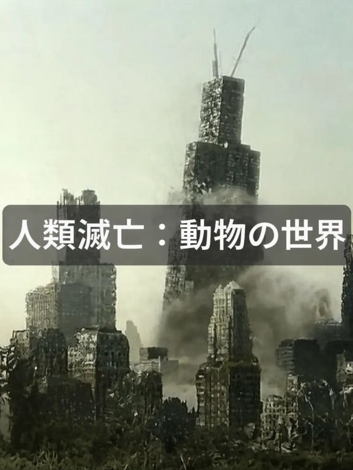 Skahwhoq의 人類滅亡：動物の世界
