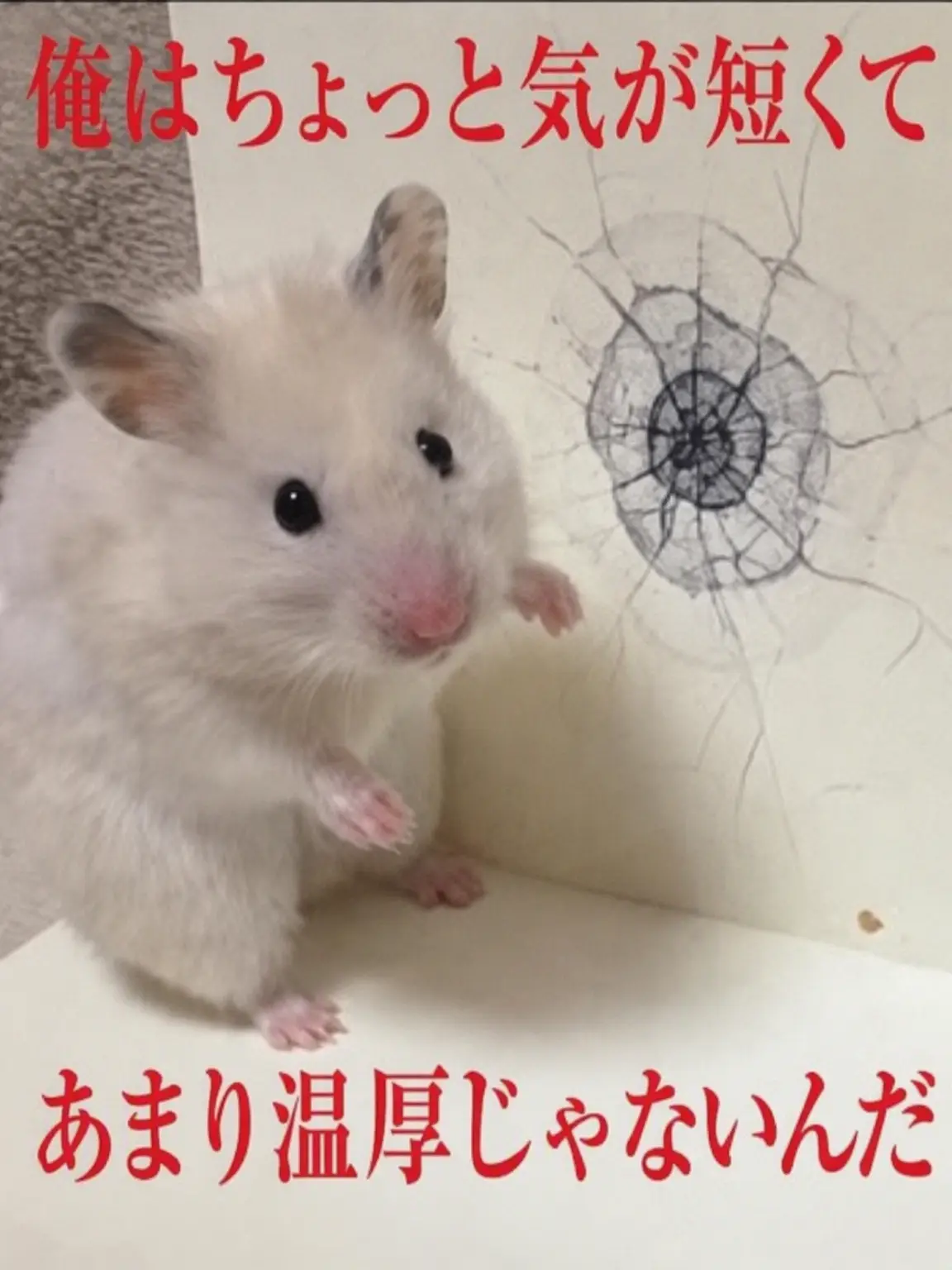 Joinjang-lyg의 ☆新しい狐の登場☆