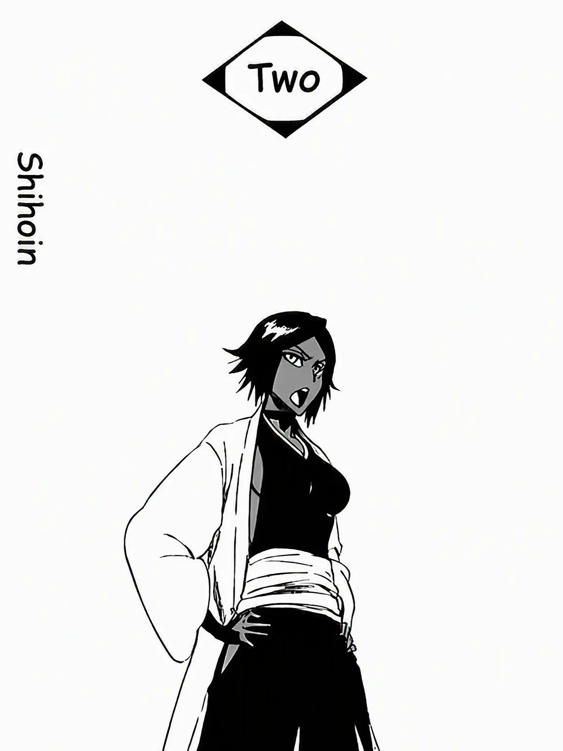 1chigo의 Gotei 13: Past Arc