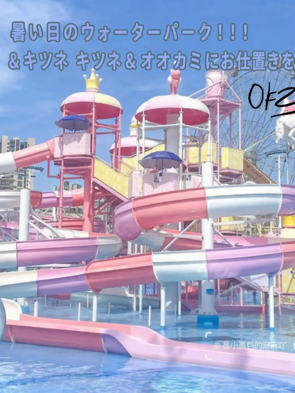 BlueBeach8015의 ソルグ 狐&狼 ウォーターパーク!