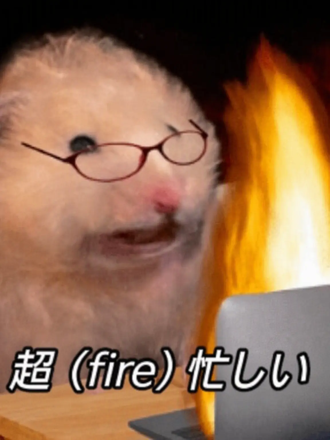 BroadBeago6042의 みんな静かにして;;(同居/執着)