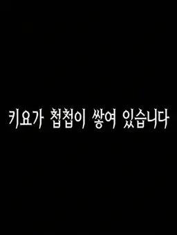 Profile image of 키요
