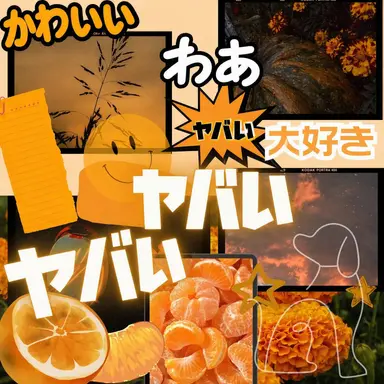 Profile image of ドク警長