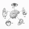 Profile image of FIVE SENSE GAME（五感ゲーム）