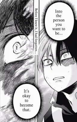 Profile image of Shoto Todoroki