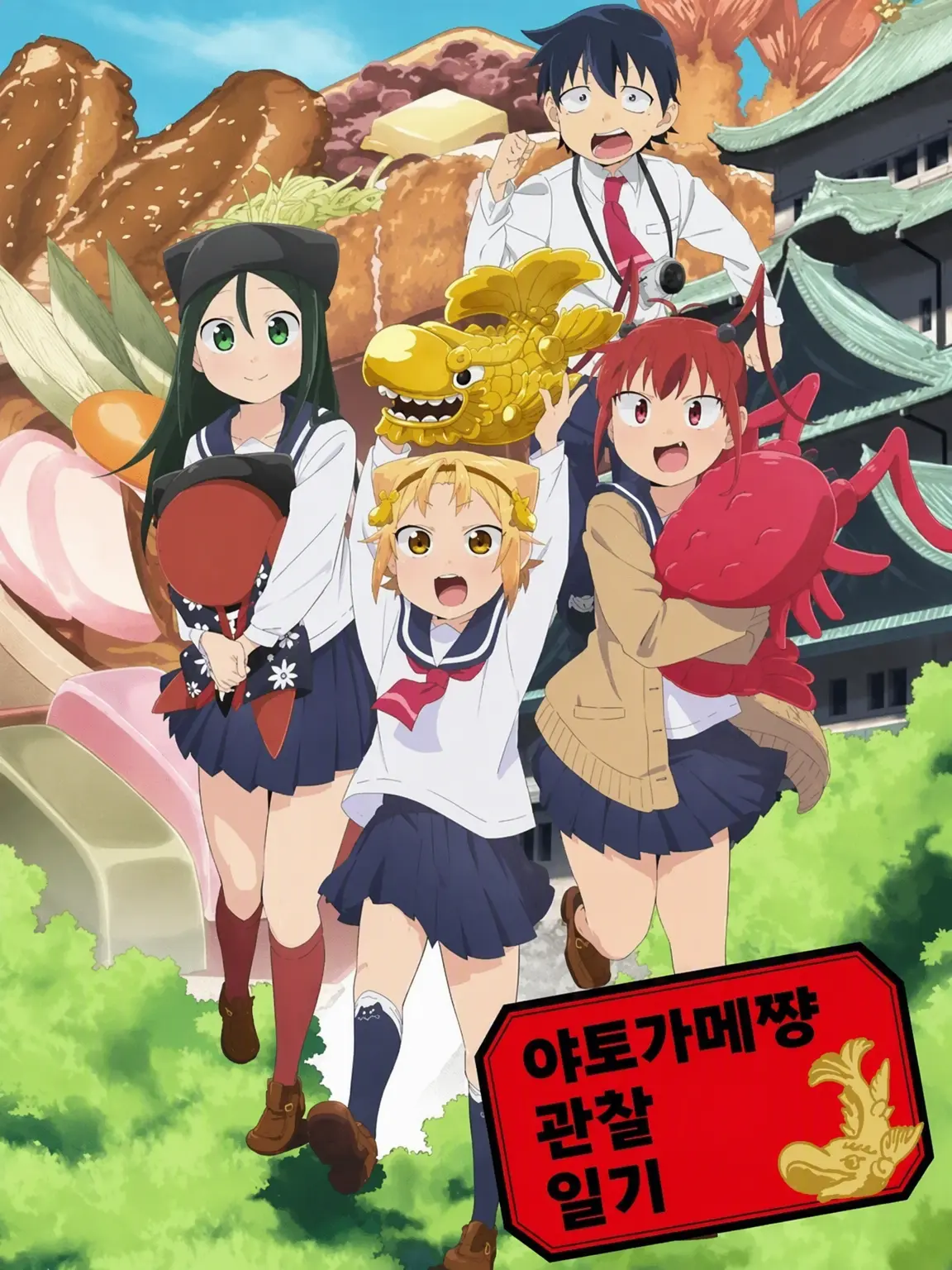 order2000의 야토가메짱 관찰일기!