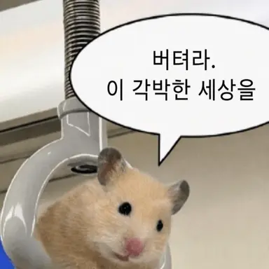 Profile image of 주인장