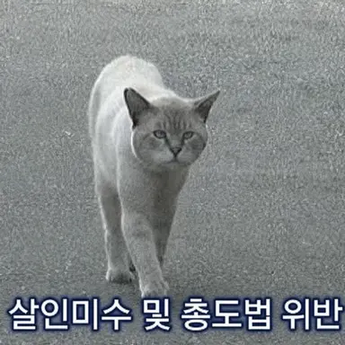 Profile image of 하루친