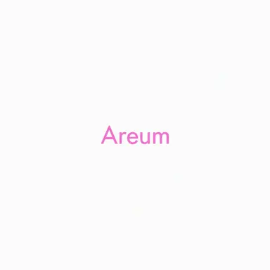 Profile image of Areum