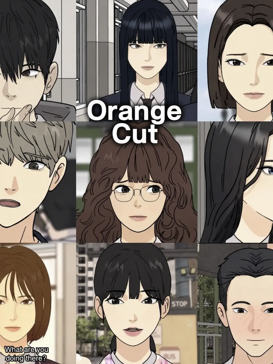 Charmander의 Orange Cut