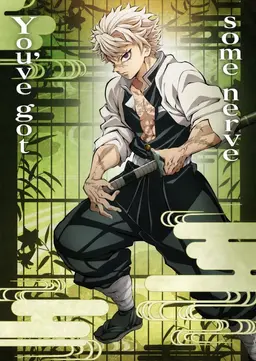 Profile image of Sanemi Shinazugawa