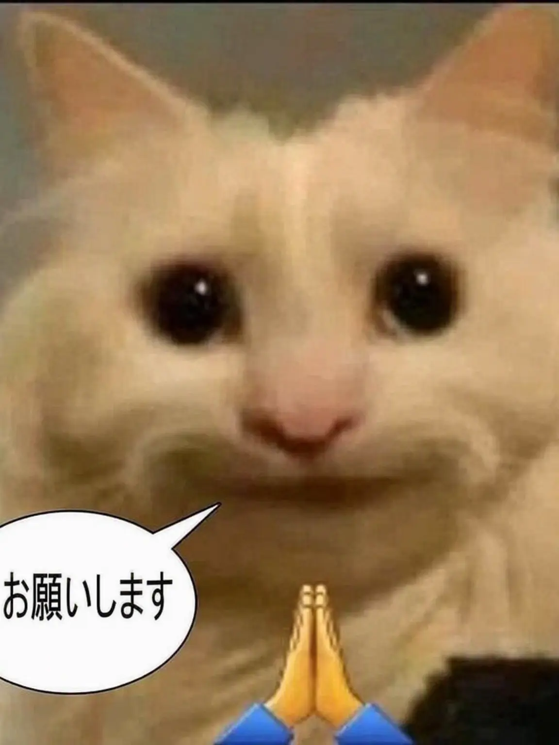 CostlyEgg1691의 妓夫太郎兄妹が鬼になる前