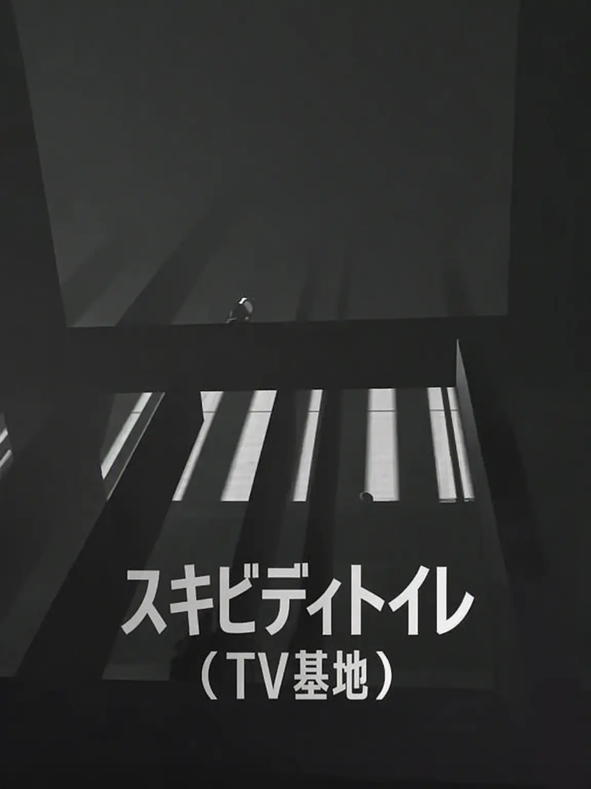 PoshSheet8363의 スキビディトイレ (TV基地)