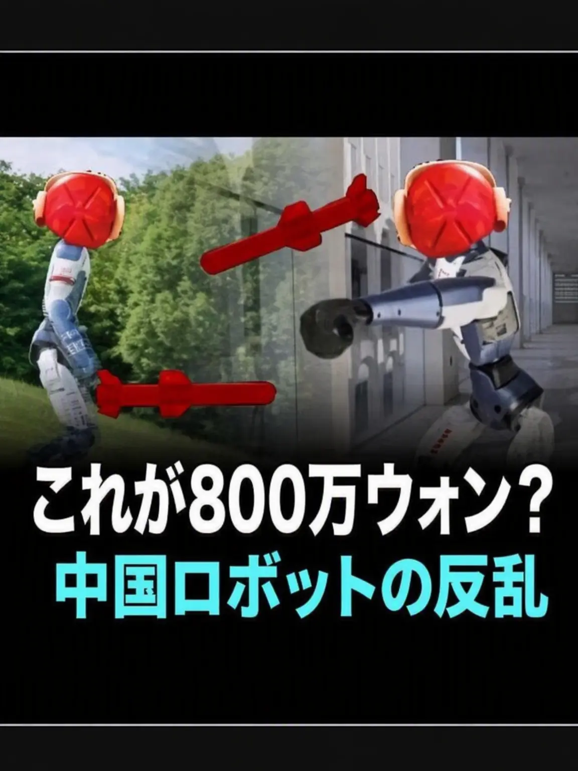 DODLOVE의 『自警団「掃」討』