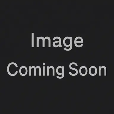 Profile image of Seungri