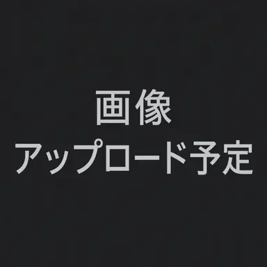 Profile image of スン리