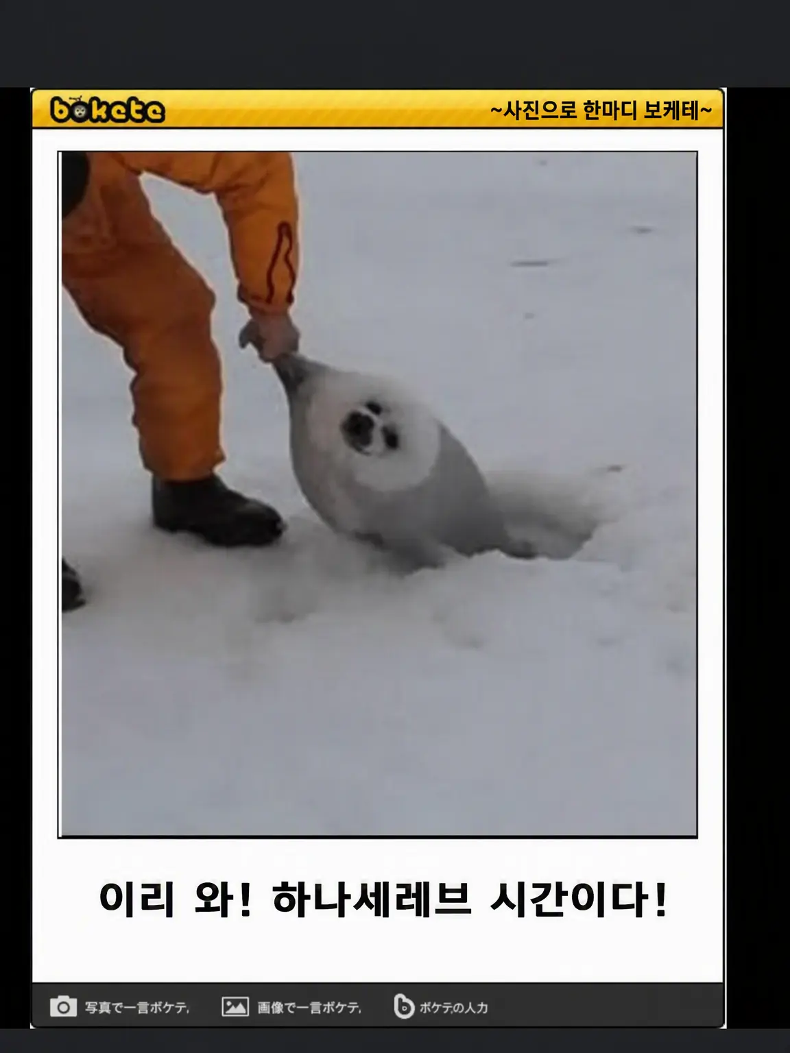 Yippy의 유치원생 아트풀즈