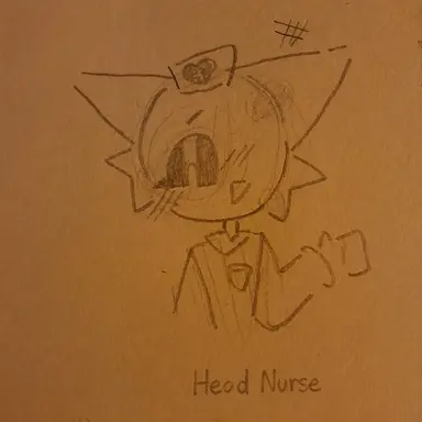 Profile image of Head Nurse