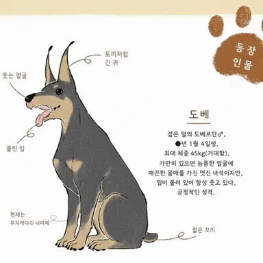 Profile image of 도베
