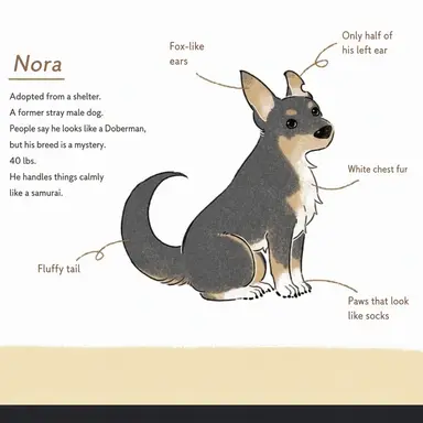 Profile image of Nora
