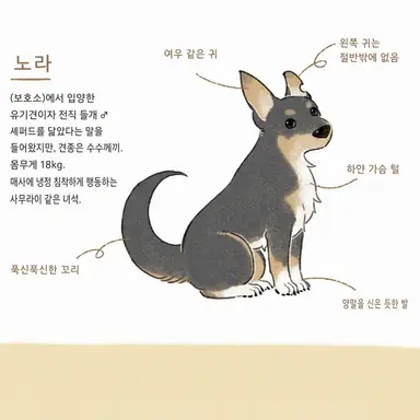 Profile image of 노라