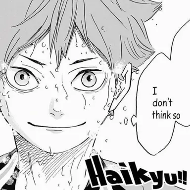 Profile image of Shoyo Hinata