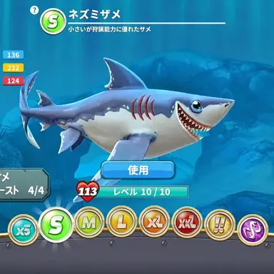 Profile image of ネズミザメ