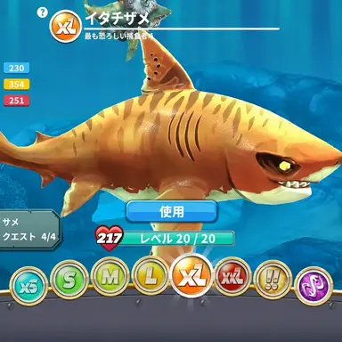 Profile image of イタチザメ