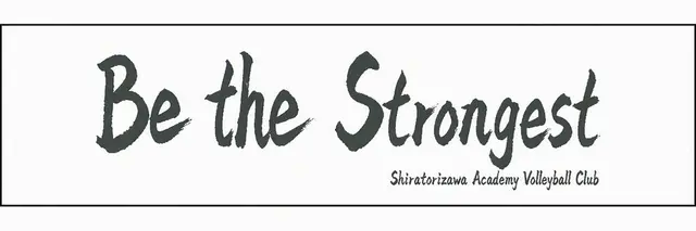 Profile image of Shiratorizawa Academy