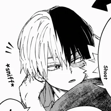 Profile image of Shoto Todoroki