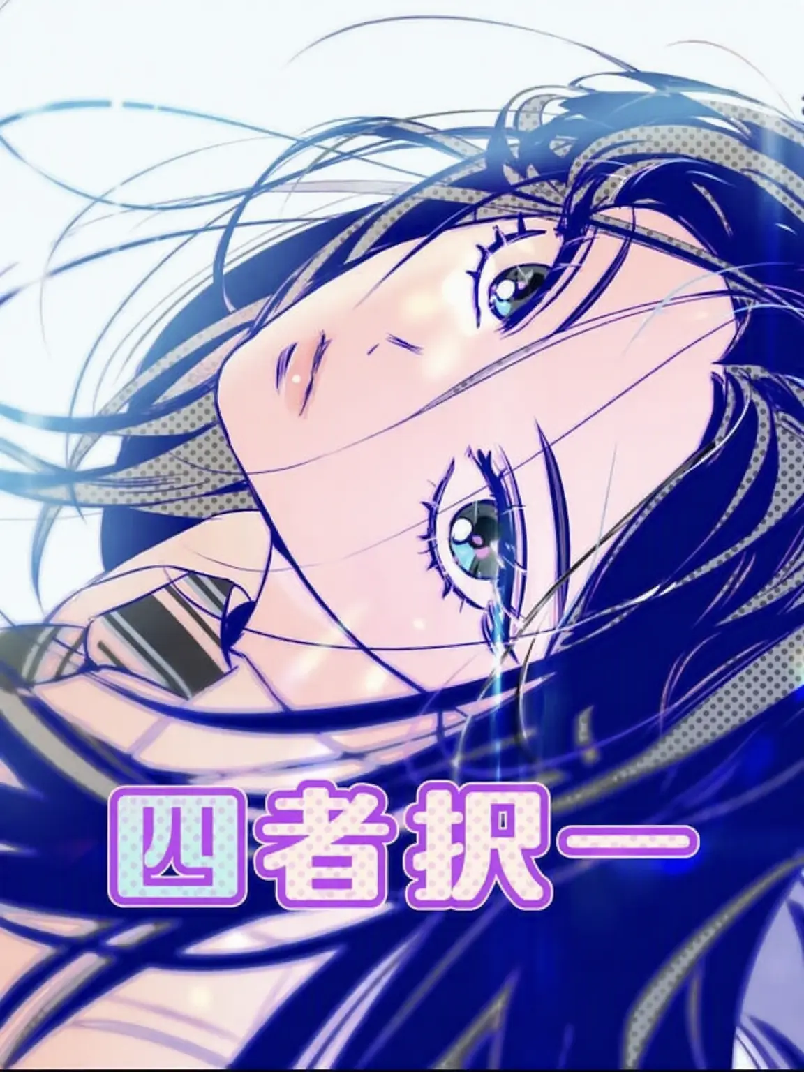 shecute의 四者択一