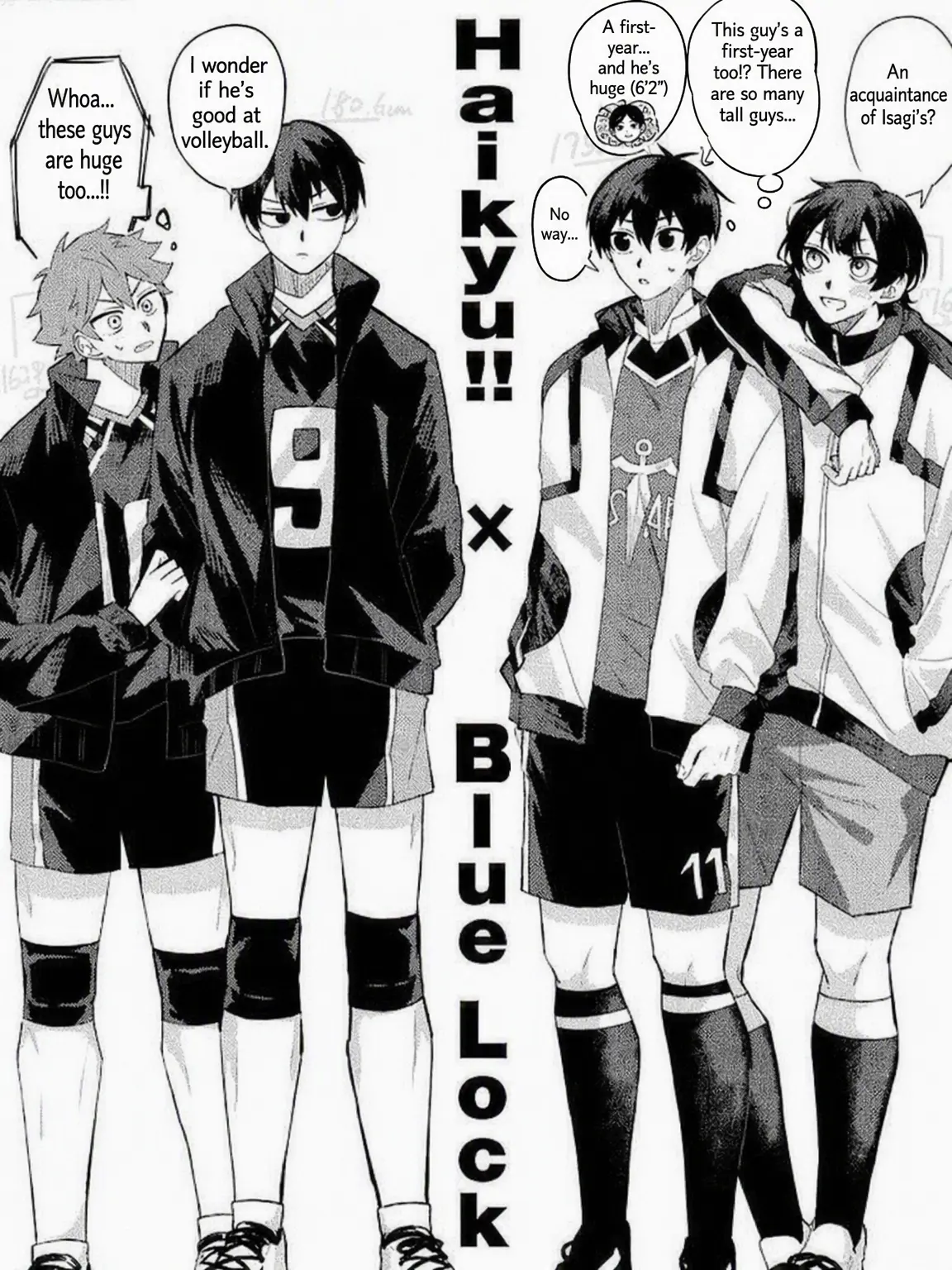 GoldenRipe6318의 Blue Lock x Haikyu!!
