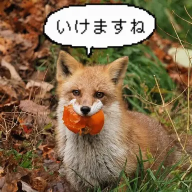 Profile image of ヨウ