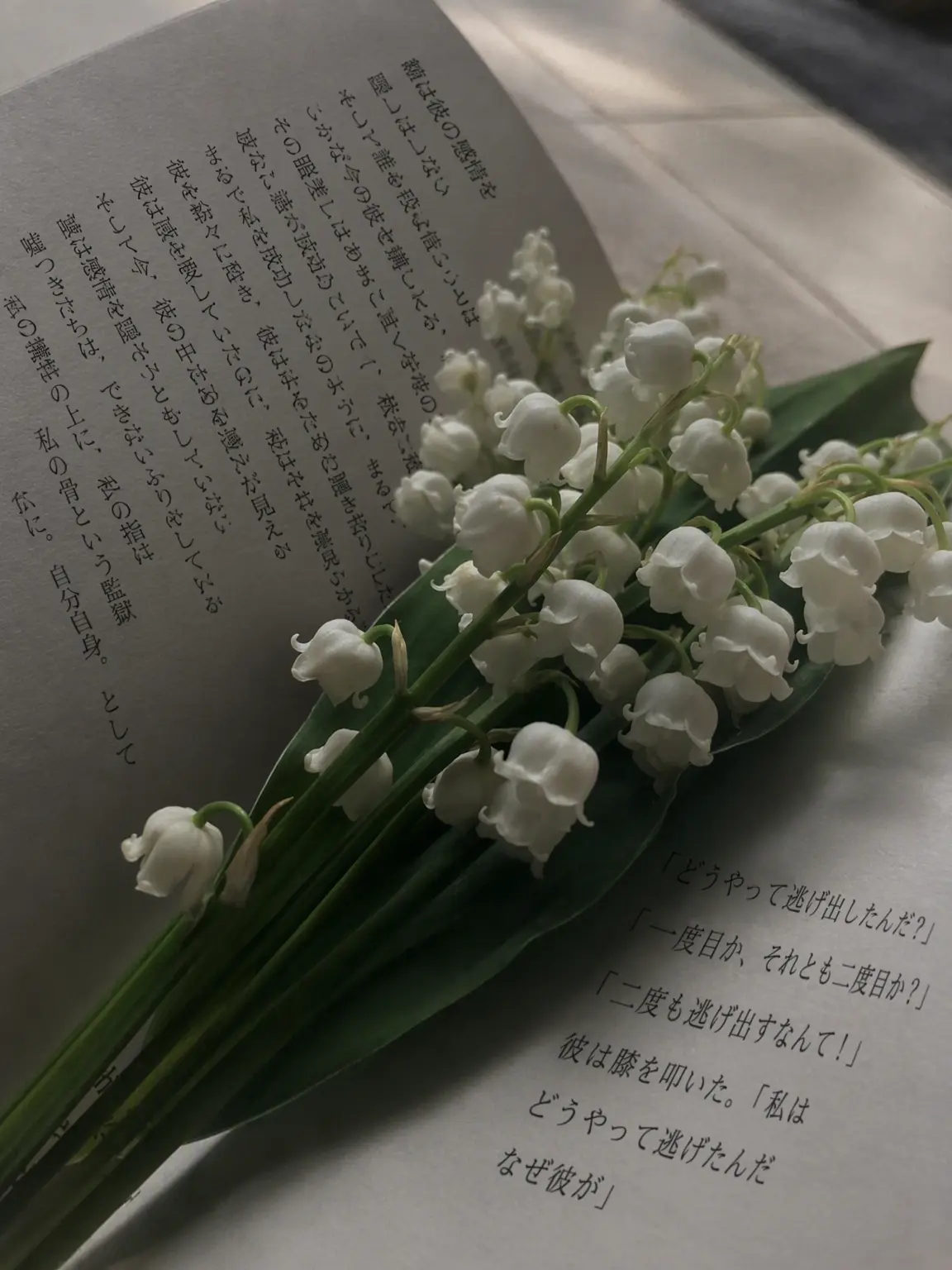 UAUA_의 ブエッ？