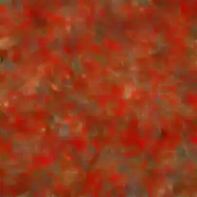 Profile image of Maho Fuehrer