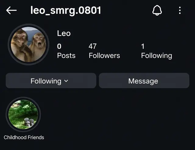 Profile image of Leo