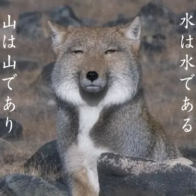 Profile image of オオカミ