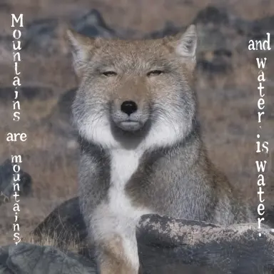 Profile image of Wolf