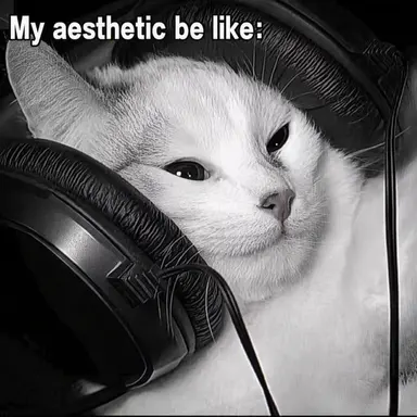 Profile image of Music-Nyan