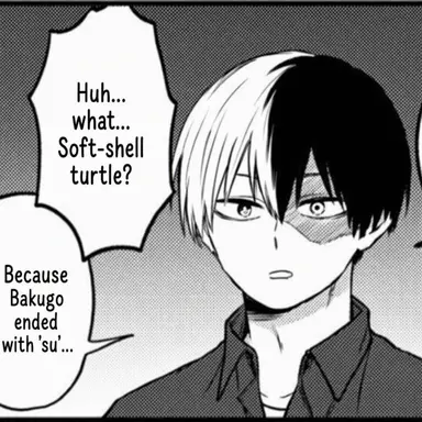 Profile image of Shoto Todoroki