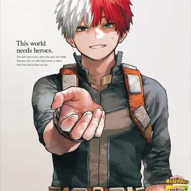 Profile image of Shoto Todoroki