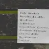 Profile image of チョヨン