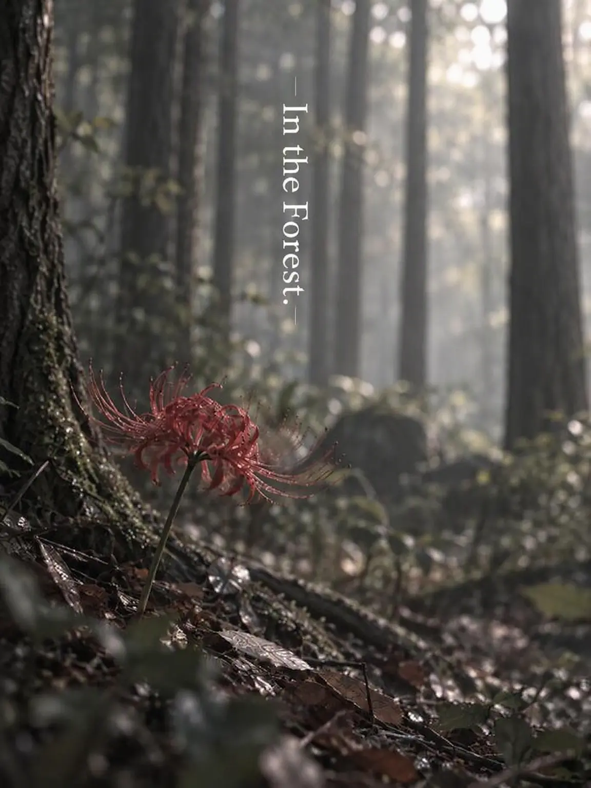 usameno_kamone의 In the Forest