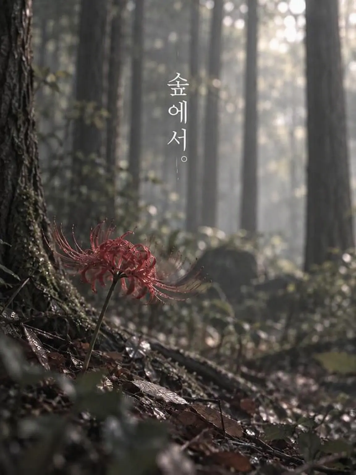 usameno_kamone의 숲속에서.