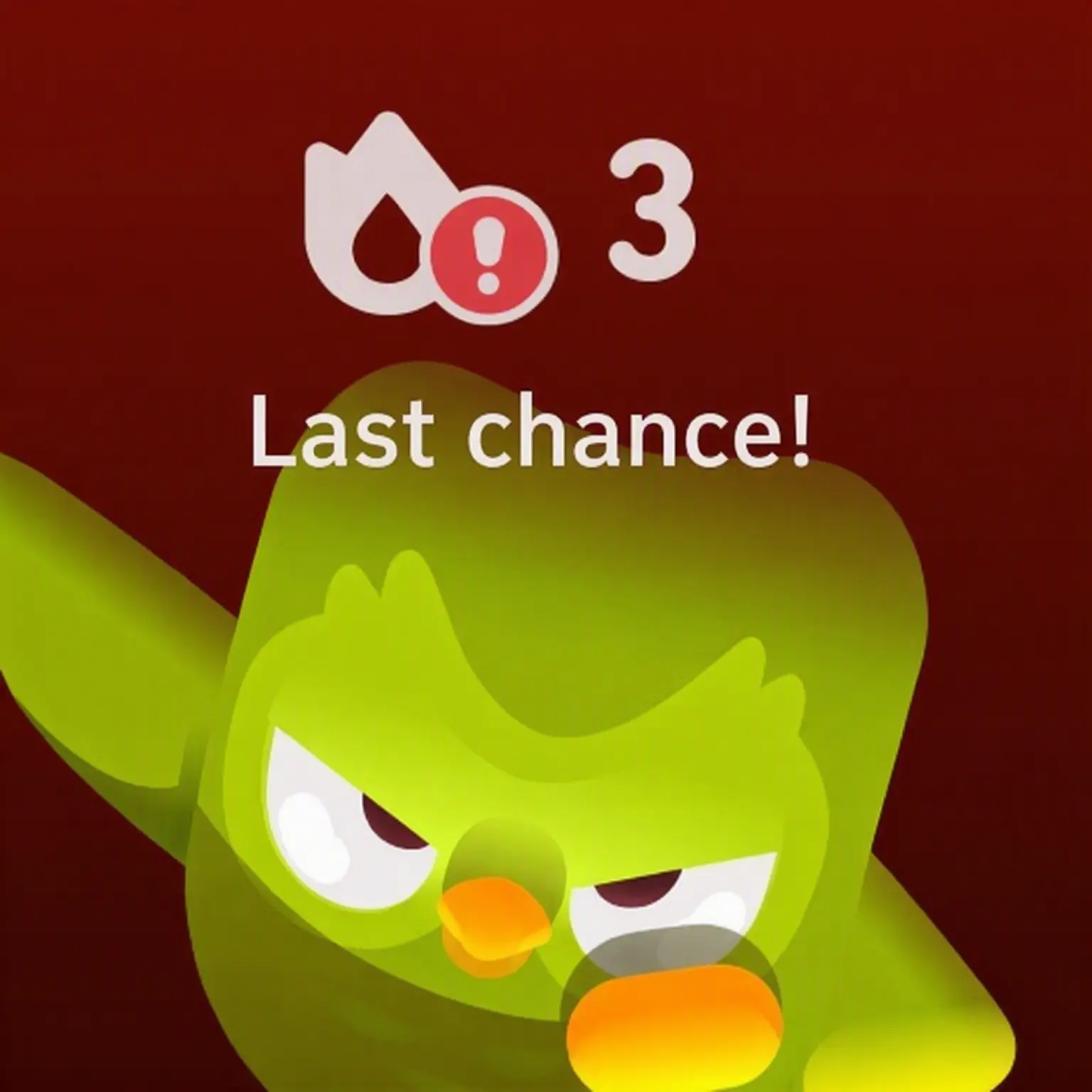 World_War_II의 Duolingo