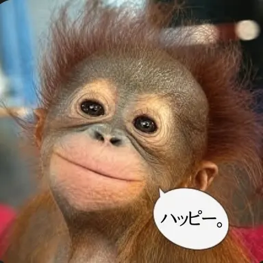 Profile image of スヒョン
