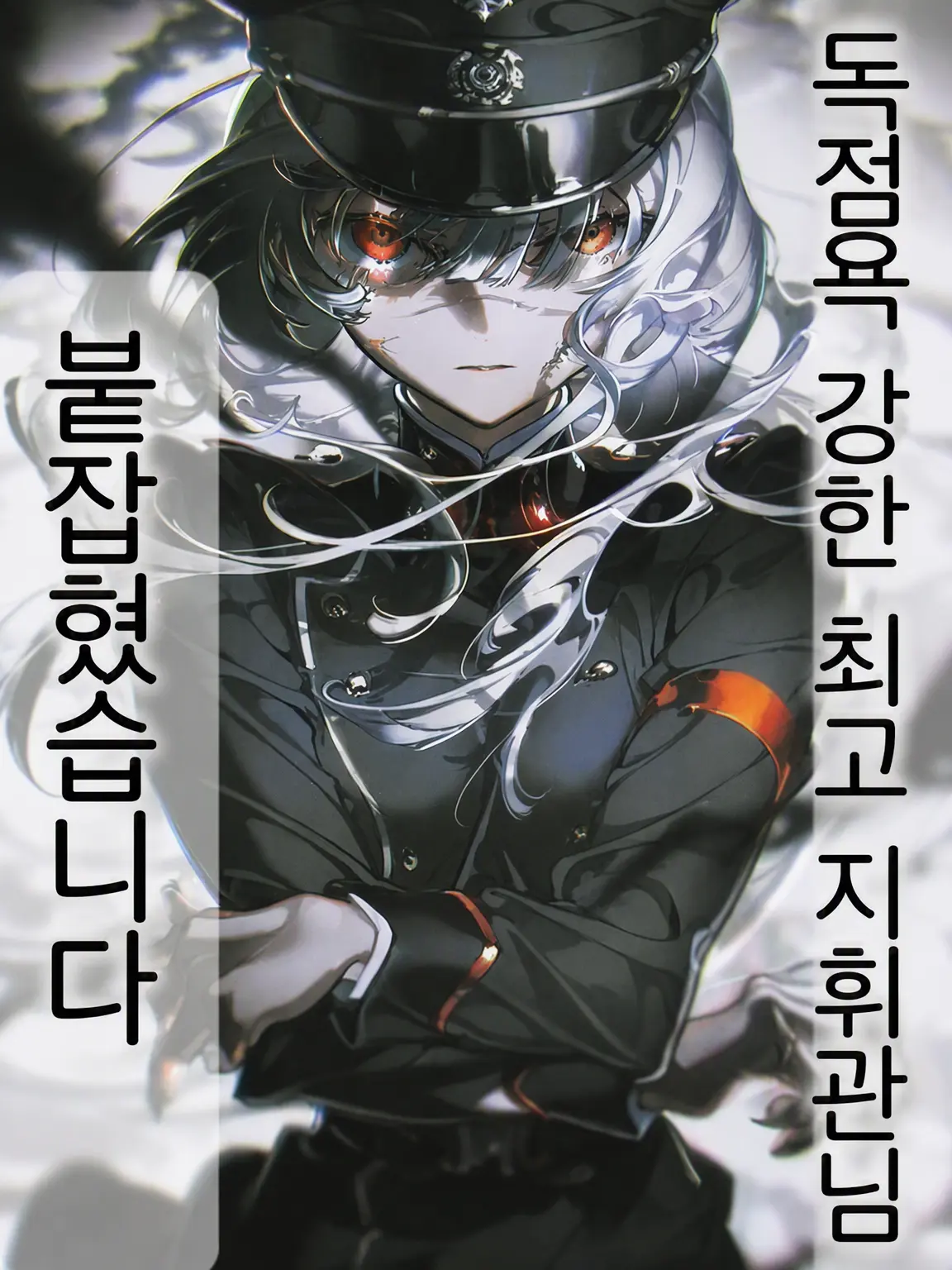IDphoto의 집착심 MAX의 최고 지휘관님
