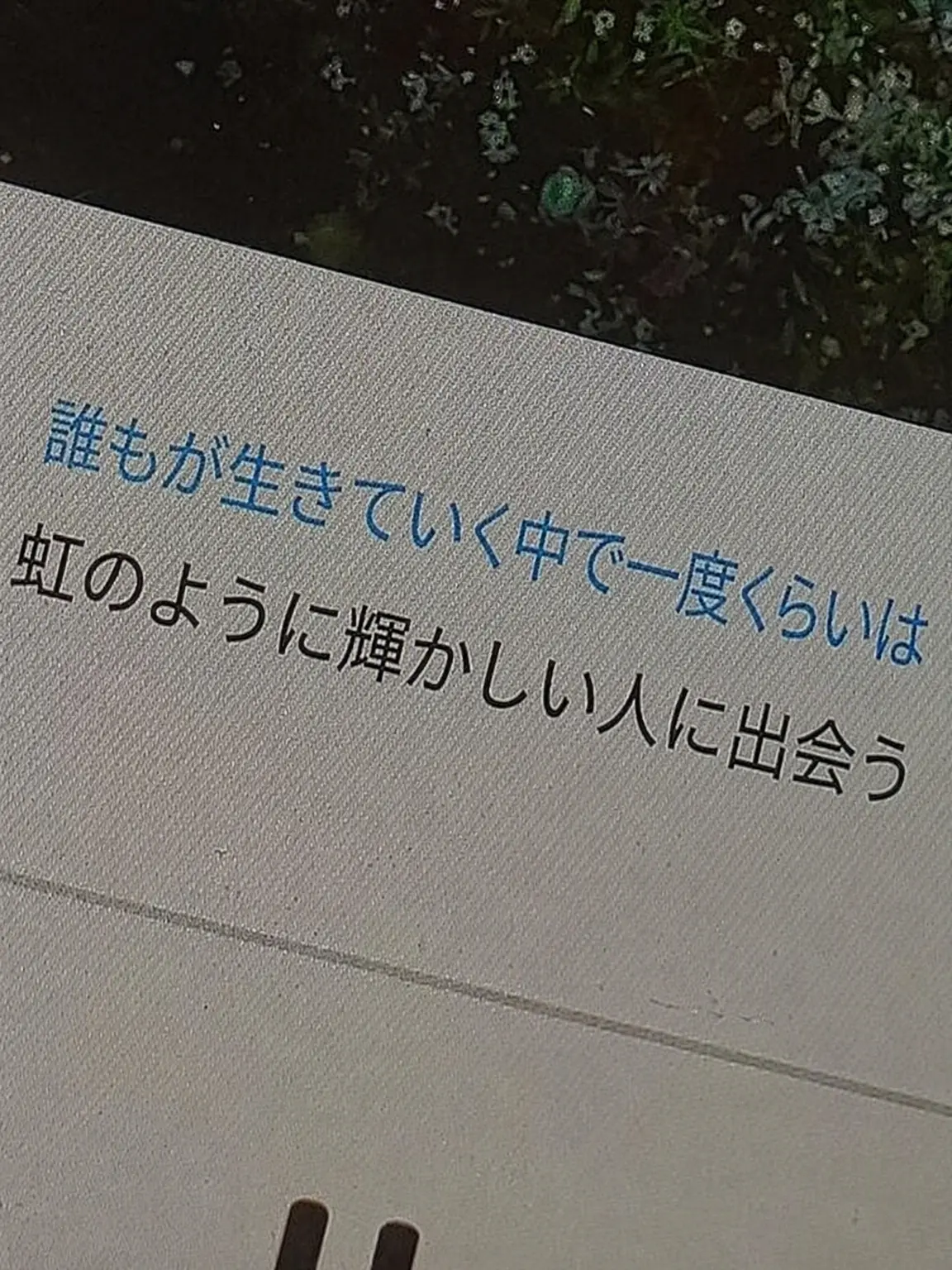 Yuzura의 僕の青春は君だったのに