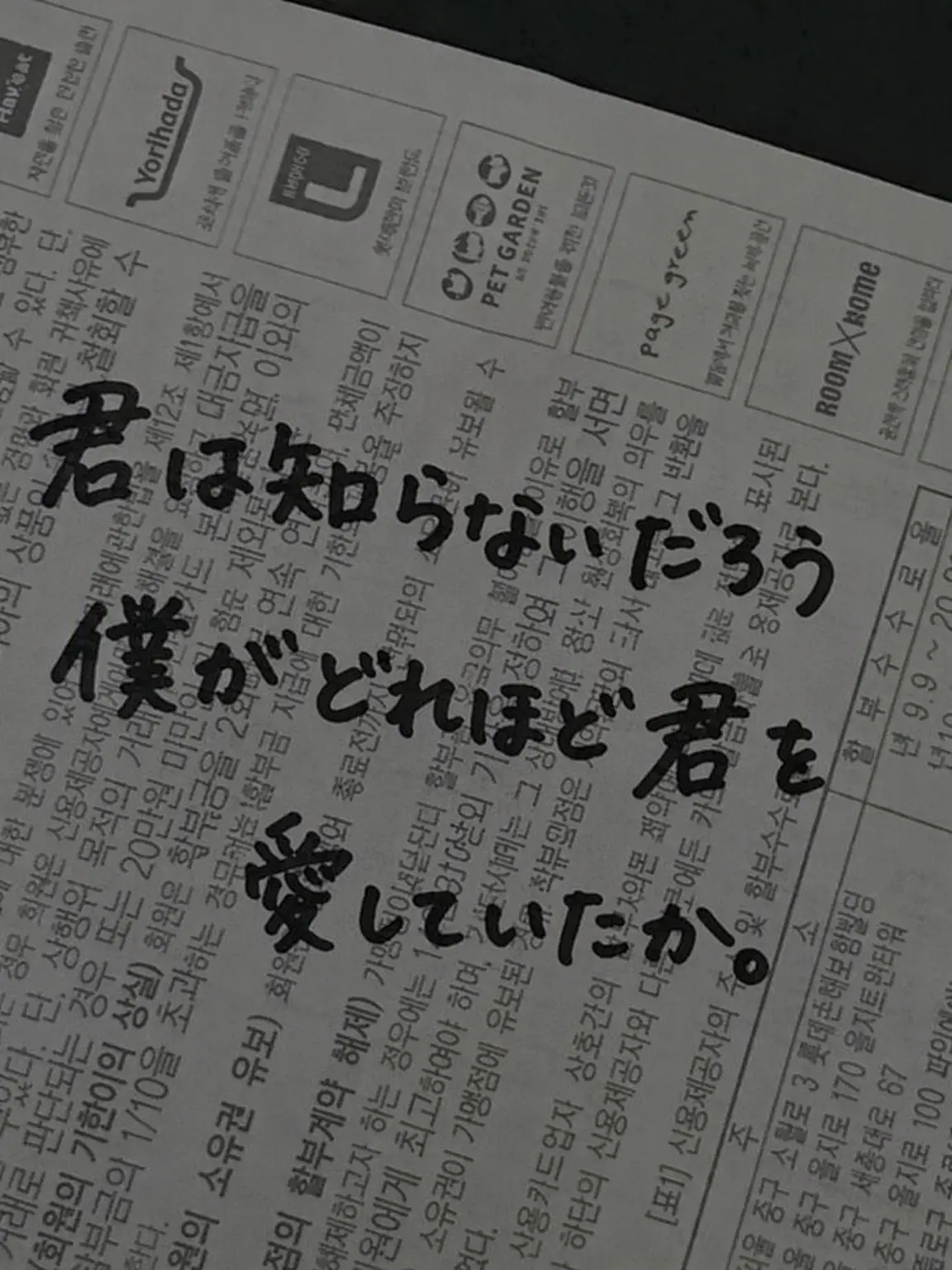 From_9.you의 ペク・ジホン