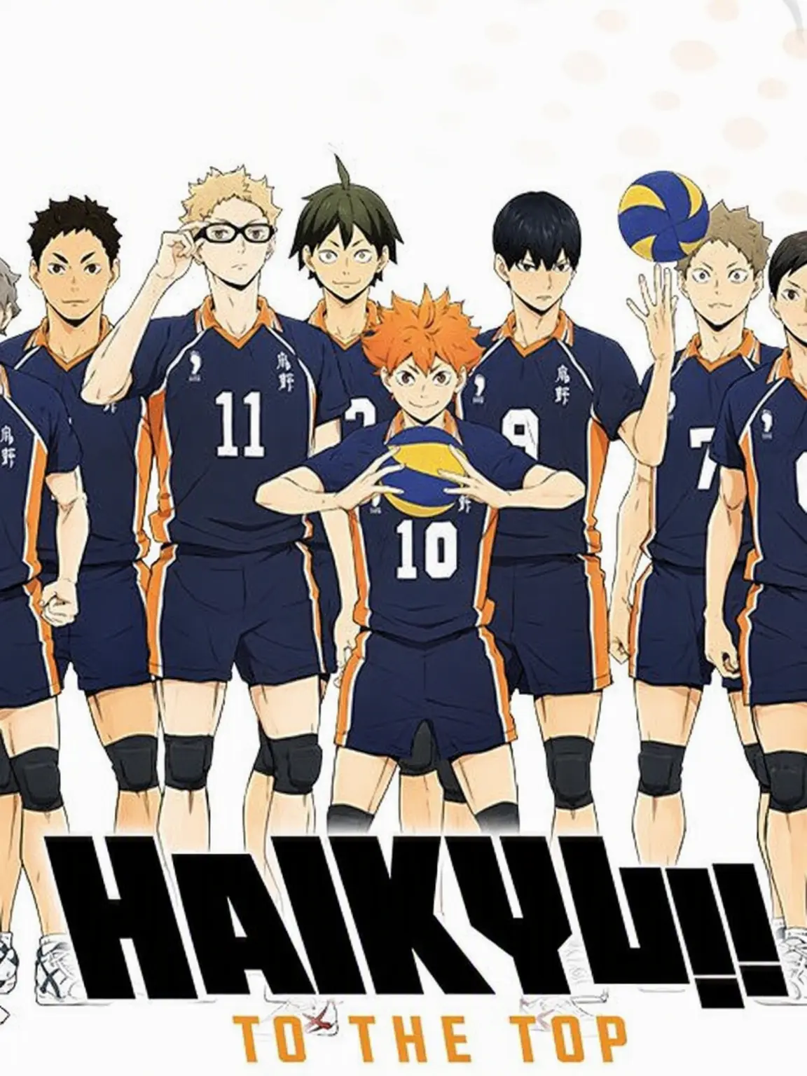 ShyLiger7524의 Haikyuu Training Camp